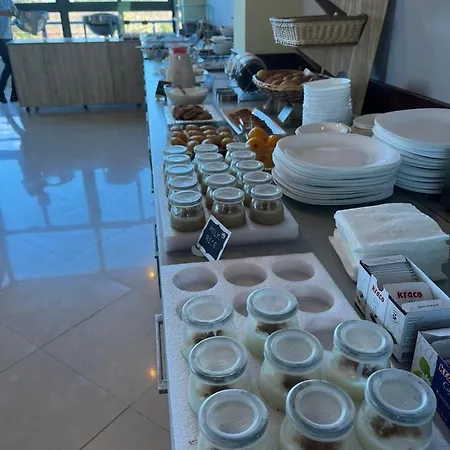 酒店 巴哈马斯酒店